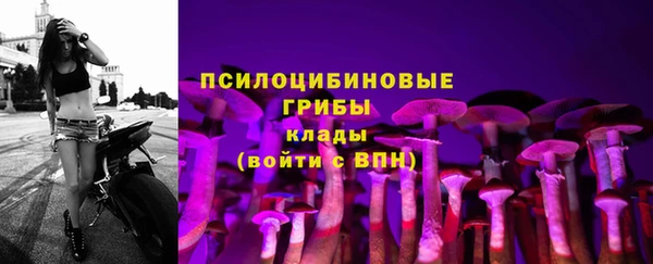 мескалин Карпинск